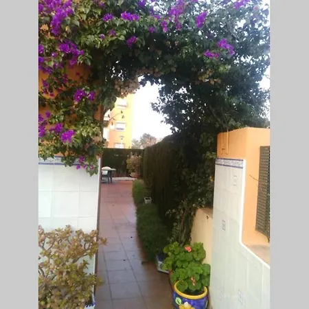 Trebol - Morro De Gos *