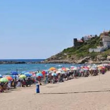 Trebol - Morro De Gos *